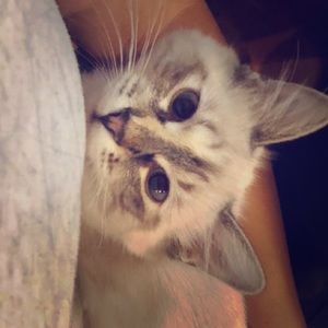 Meet your Posher, Olga